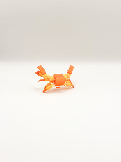 Zeedieren: Krab