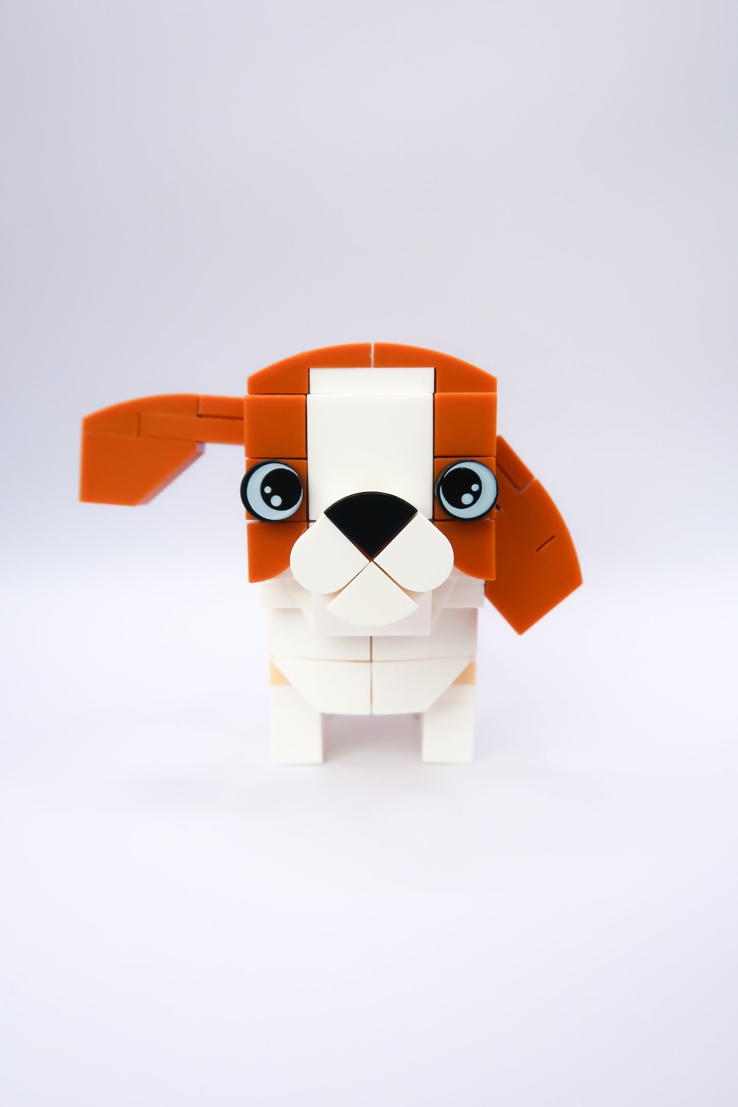 Dier: Hond Beagle