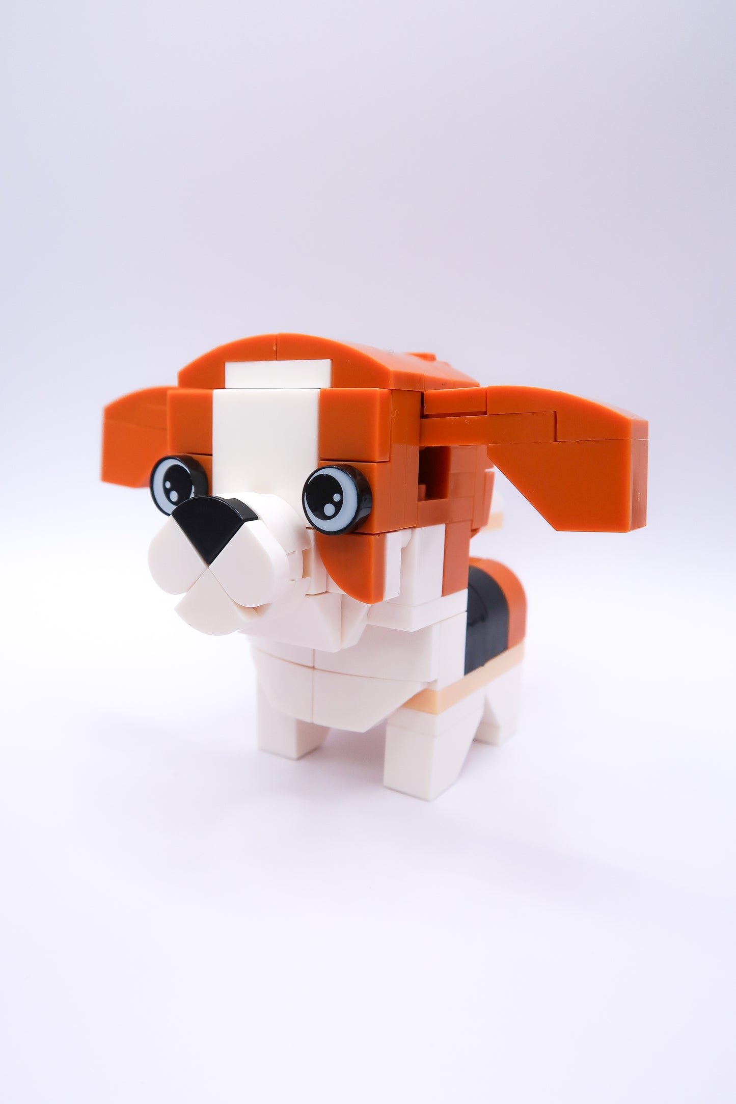 Dier: Hond Beagle