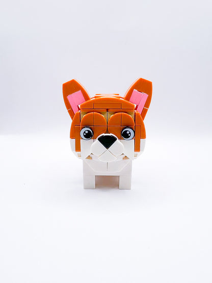 Dier: Hond Corgi