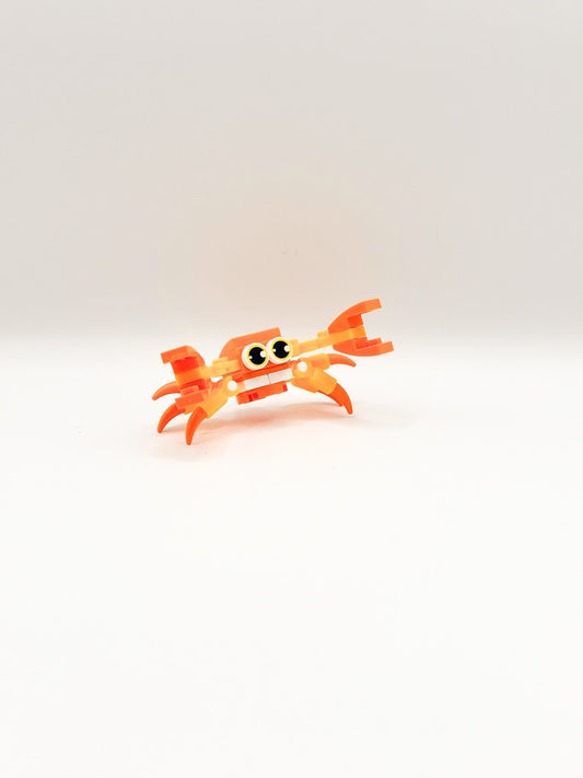 Zeedieren: Krab