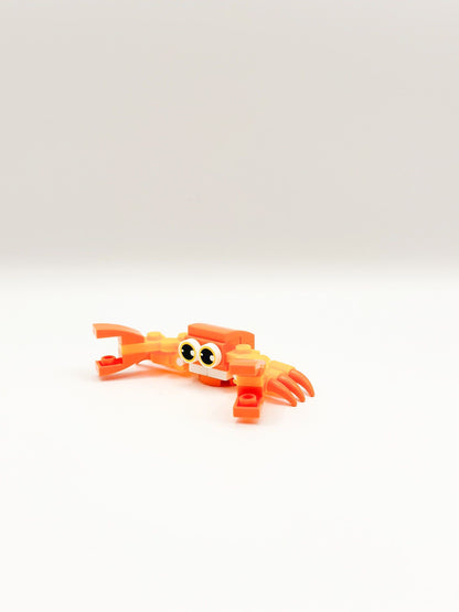 Zeedieren: Krab