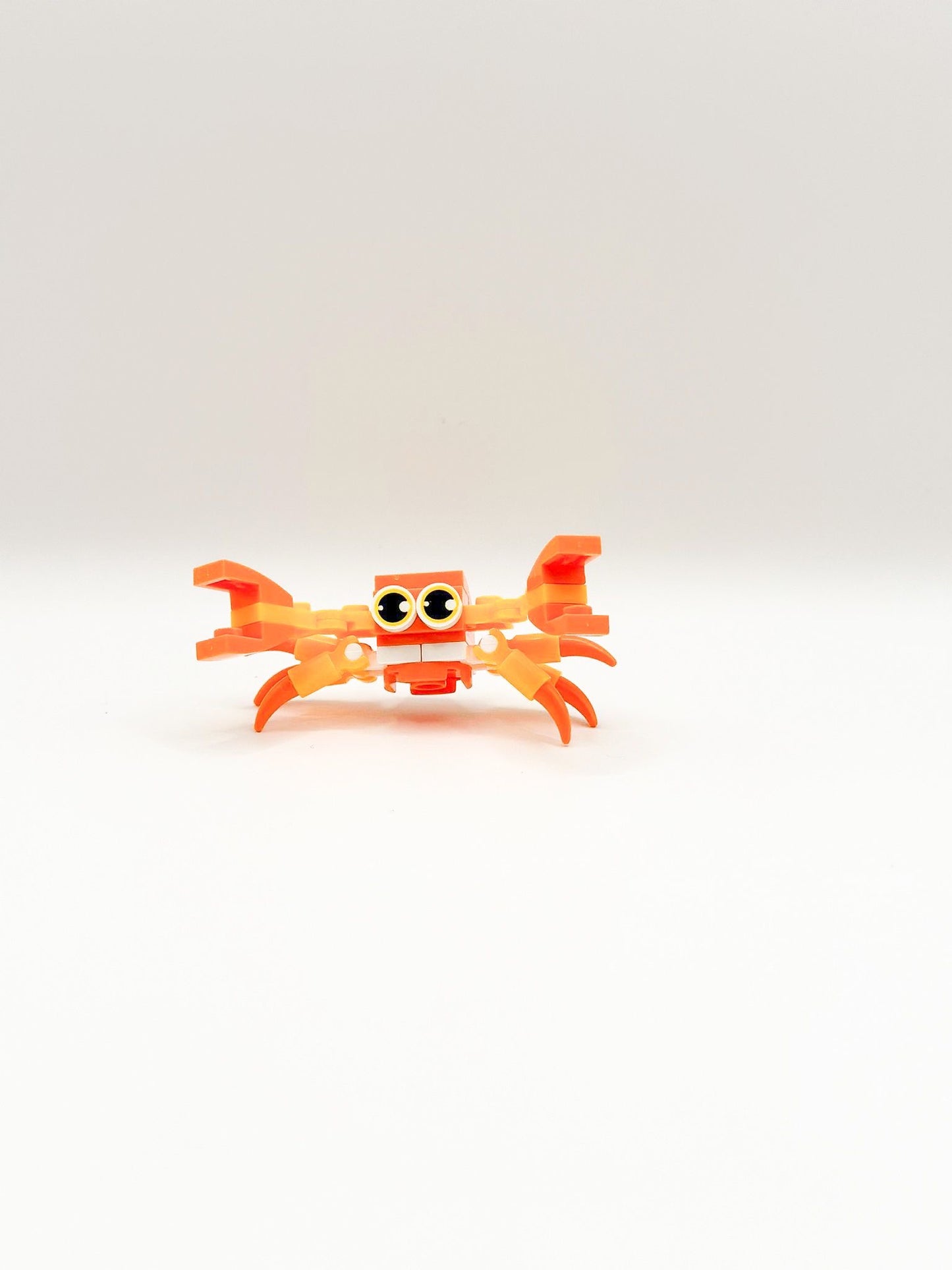 Zeedieren: Krab