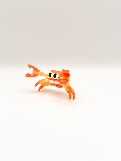 Zeedieren: Krab