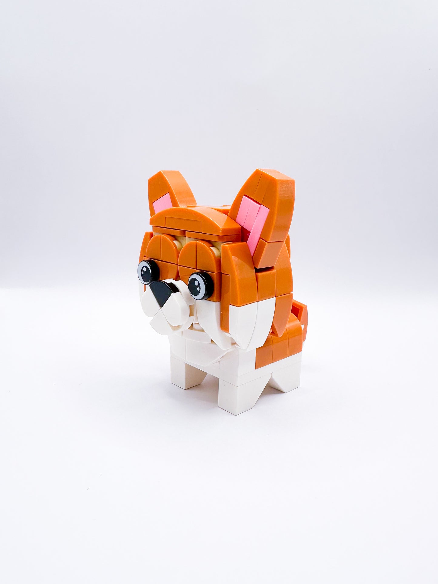 Dier: Hond Corgi