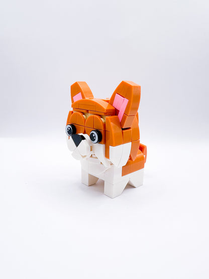 Dier: Hond Corgi